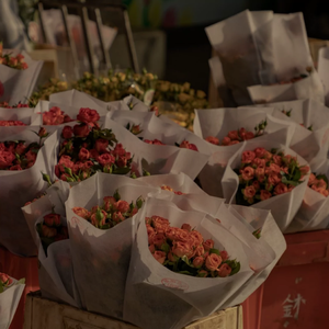 欧美性爱小电影
