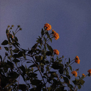 欧美性爱小电影
